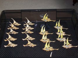 Eldar Fleet.JPG Eldar Fleet.JPG