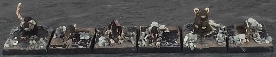 Giant rats2a.jpg Giant rats2a.jpg