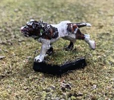 CAD371C4-7DFD-4F4B-9EAF-71C55DD40541.jpeg CAD371C4-7DFD-4F4B-9EAF-71C55DD40541.jpeg