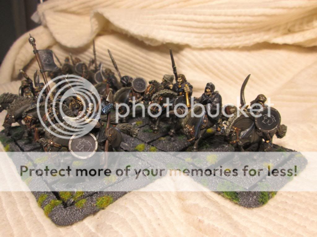 DRshields_zps0c60546b.jpg