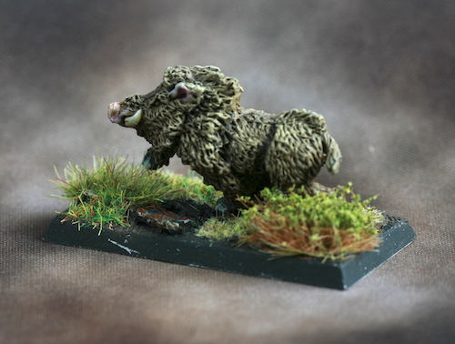 boars-012.jpg