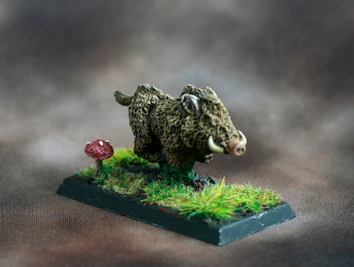 boars-013.jpg