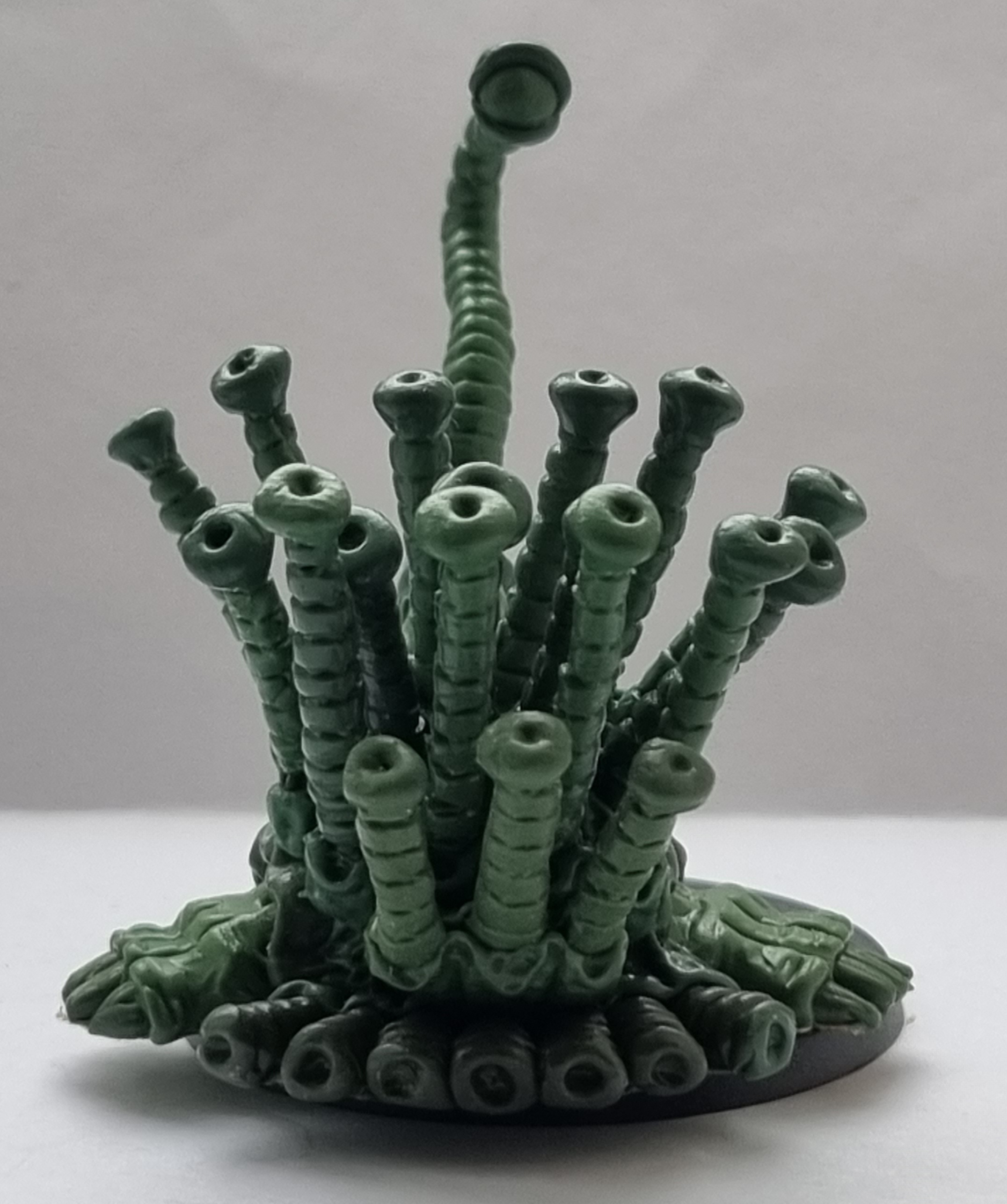 20220922_110113.jpg