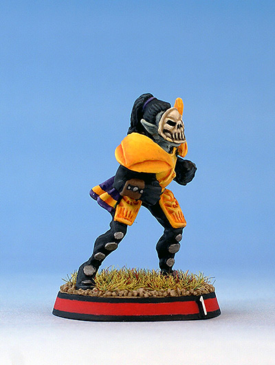 dark-elf-blitzer-blood-bowl-01b.jpg