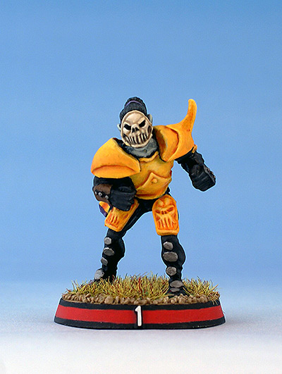 dark-elf-blitzer-blood-bowl-01a.jpg