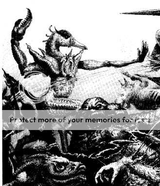 roc1_zpsda7af535.jpg