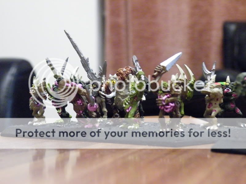 DSCF3203.jpg
