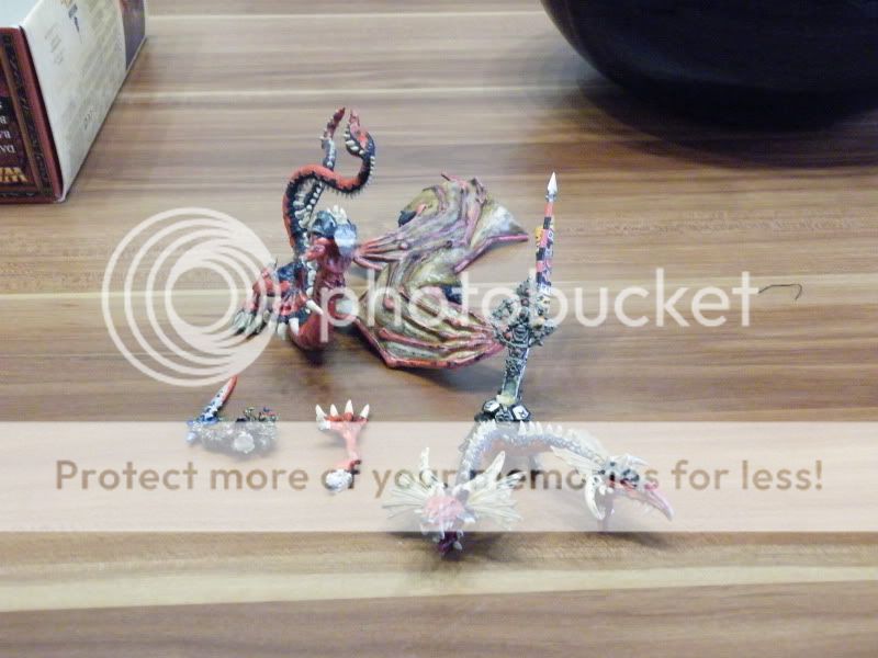 DSCF2176.jpg