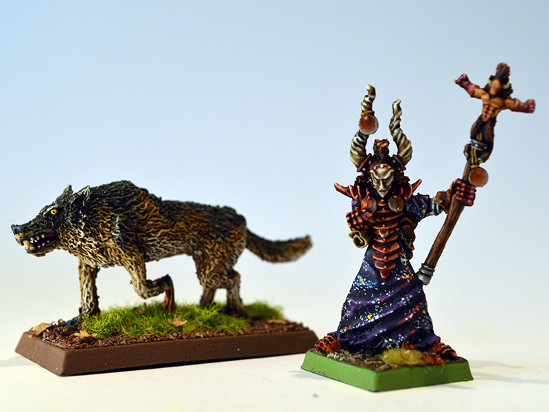 wolf_sorcerer_front.jpg